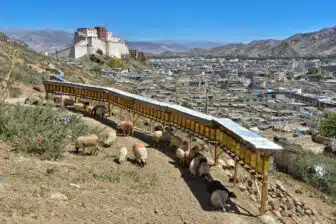 Tibet, de Lhassa au mont Kailash et Royaume de Guge – Image 14