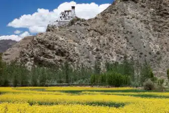 Trekking Lac Yamdrock au Tibet – Image 3