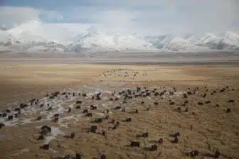 Tibet, sur le Toit du monde – Image 8