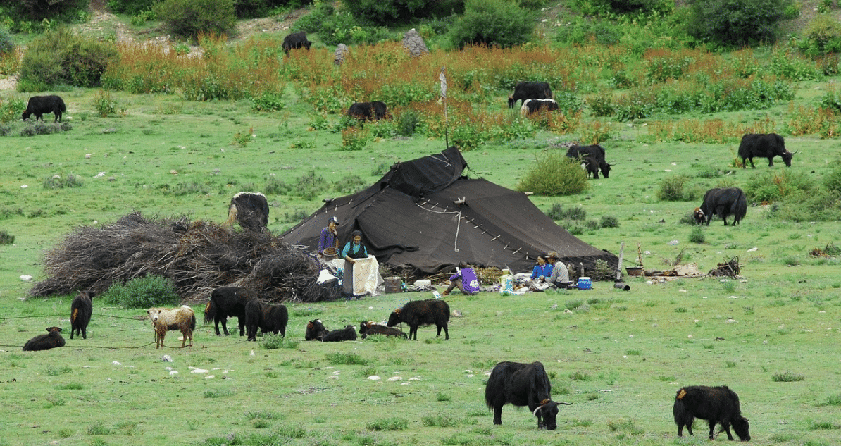 Chemin de traverse, de Shangri La à Lhassa – Image 5