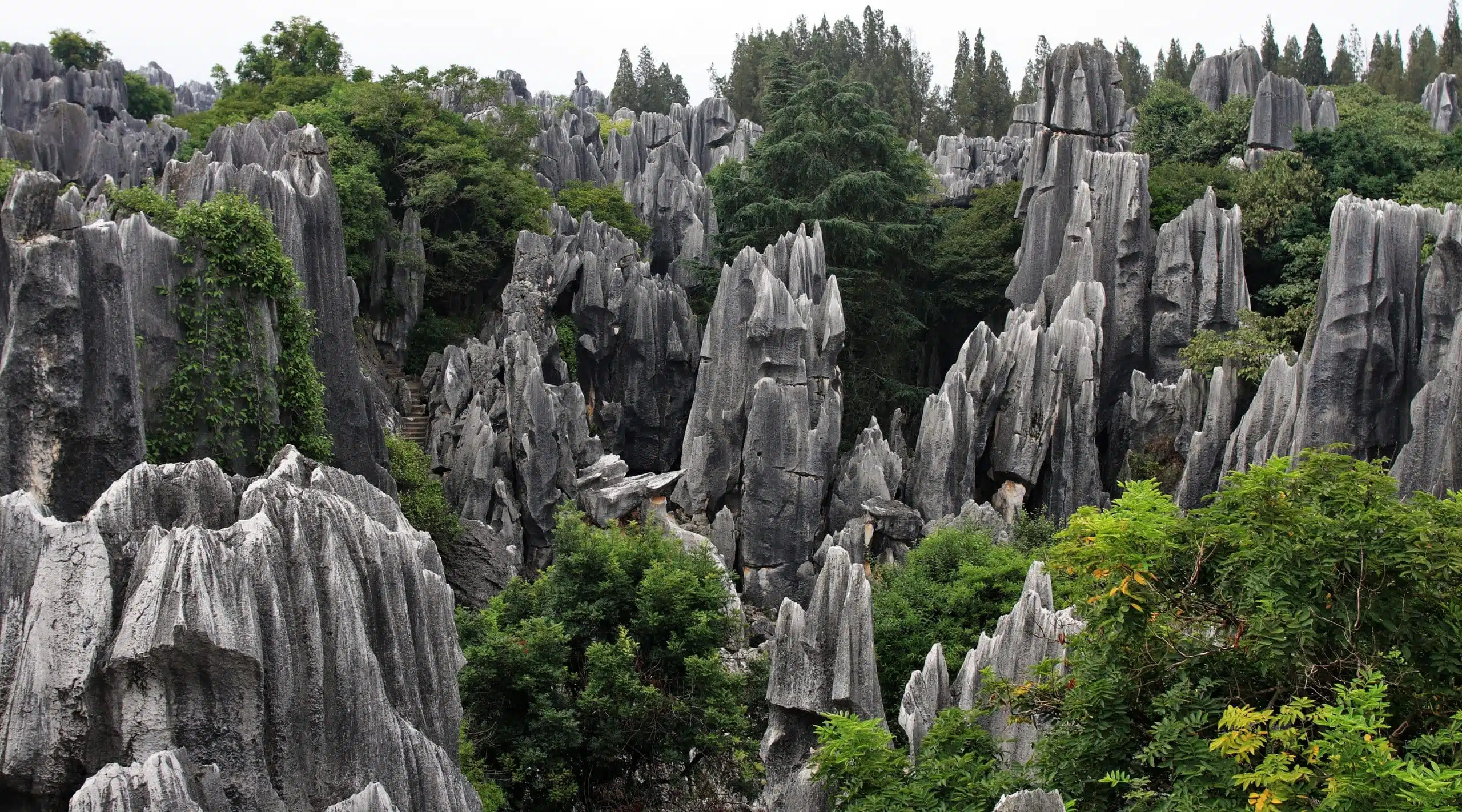 Pékin, Xi'an, Yunnan et Tibet – Image 7
