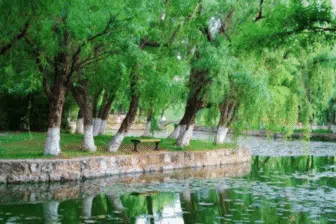 Splendeurs de Chine – Image 22